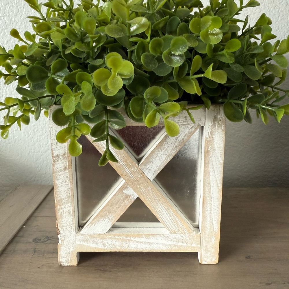 Plant / Distressed White Planter